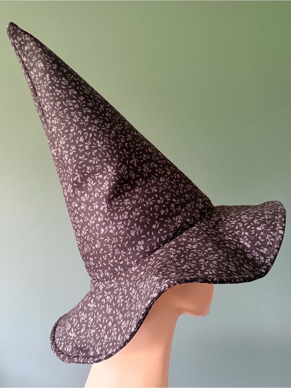 Halloween Magic/Witch Hat